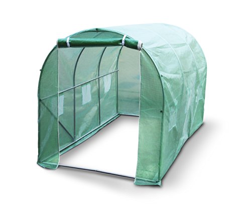 Kenley Serra da Giardinaggio Politunnel – Telaio di Resistente Acciaio Inossidabile 25 mm - 3 x 2 m