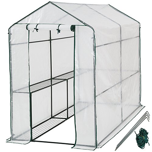 Serra da giardino in acciaio e PVC per piante - modelli differenti - (186x120x190cm | No. 401861)