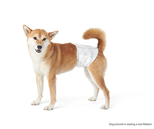 AmazonBasics  Pannolini per cani maschio taglia XS confezione da 30 pezzi