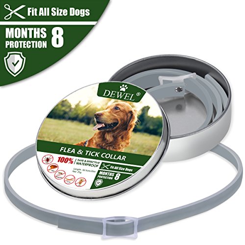 Cane collare antipulci pulci e zecche collare per cani regolabile impermeabile Proteggere per gatti e cani XL635cm