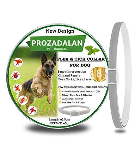 Collare Antipulci Cane Collare per Cani Antipulci e Zecche Regolabile Impermeabile Antiparassitario per Cani per Tutti i Tipi di Cani 8 Mesi di Efficacia Protezione 63cm Taglia Unica 1pack