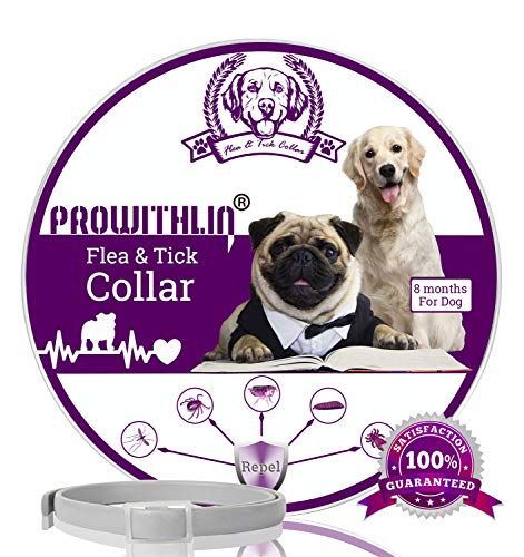 Collare antipulci e zecche per Cani Collare Regolabile Impermeabile Soluzione Naturale Contro i parassiti per Cani Adulti 63 cm 8 Mesi Taglia Unica per Tutti i Cani 1 Pacco