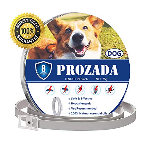 PROZADALAN Collare Antipulci Cane 8 Mesi Prevenzione Pulci e Zecche  con Estratti di Oli Essenziali  Ipoallergenico Taglia Unica per Tutti i Cani 70cm