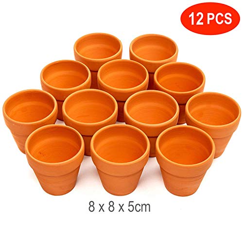 12 Vasi da Fiori di Terracotta Ceramica 8cm  Mini Cactus Piante Grasse Succulento Miniatura Vasi per Piccoli Impianti  Perfetto per Arti e Mestieri Matrimonio Bomboniere Decorazioni