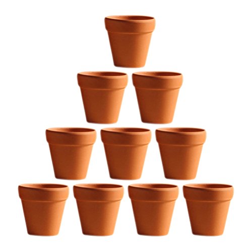 Bestomz 10mini vasi in terracotta per fiori cactus deliziosi vasi da vivaio ideali per piante artigianato bomboniere As Shown 18x16inch