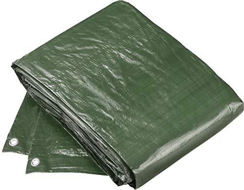 Connex FLOR80405  Telo di copertura 3 x 4 m 100 g