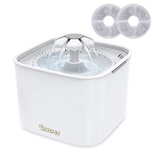 DADYPET Fontanella per Gatti Fontana per Gatti Distributore di Acqua per Gatti Grande capacit di Ricambio 2L Automatiche e Silenzioso