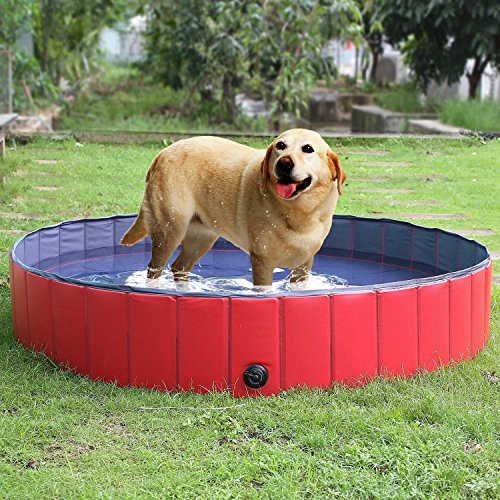 Femor Piscina per Cani Gatti Bagno per Cani Piscina Piegevole Antiscivolo in PVC Resistente allUsuraRosso 160x160x30cm
