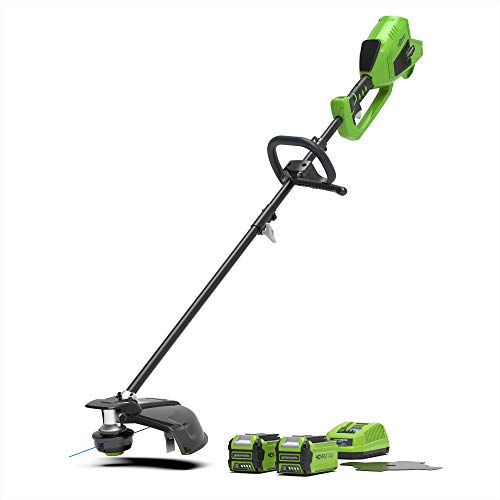 Greenworks Tools Decespugliatore e Falce a Batteria 2 in 1 GD40BCK2X LiIon 40 V Larghezza 40 cm 25 cm 2 mm Filo Coltello 5300 RPM Manico Regolabile con 2 Batterie 2 Ah e Caricatore