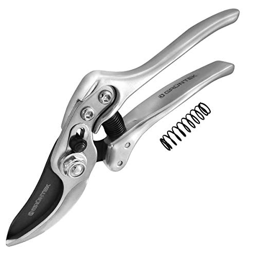 GRNTEK Cesoie Forbici per Giardinaggio e Potatura Professionale 22 cm Silvercut con Molla di ricammbio Inclusa