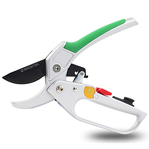 GRNTEK Forbici Cesoie da Potatura a Cricchetto per Giardinaggio Professionale Condor 20 cm