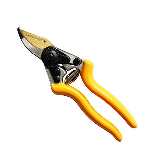 GRNTEK Forbici da potatura Giardino Premium Z19 da 200mm Lama in Acciaio e Titanio Cesoie Bypass Professionali