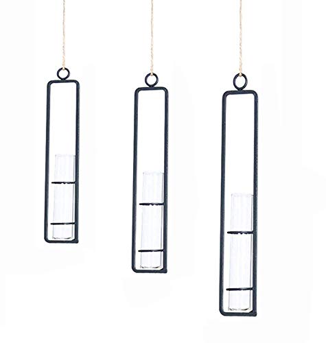 inherited 3 Pezzi Hanging Planter terrario Ferro battuto Vetro Trasparente provetta Fiore vasi da Appendere alla Parete Piante Vaso idroponica terrario Holder Home Decor Small