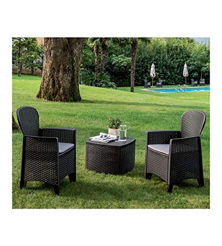 IpaeProgarden Set Tree Antracite CCuscini