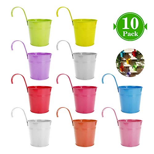 Kaufam Secchiello per Vaso in Metallo da 10 Pezzi Vaso da Appendere Decorazione Domestica per Balcone Gancio Rimovibile Assortimento in 10 Colori