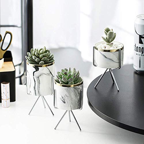 Keyzone  Vaso con supporto in metallo per interni in marmo ceramica per piante grasse in stile nordico giardino cucina ufficio decorazione per la casa Ceramica Metallo Argento large