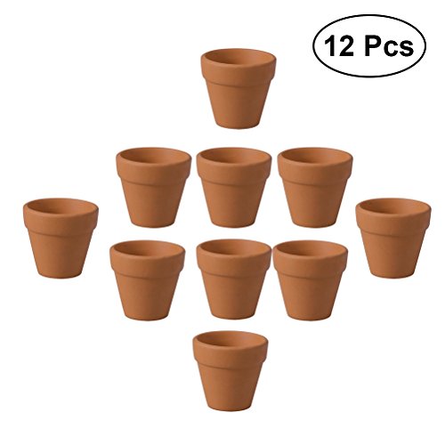 OUNONA Minivasi in terracotta per cactus fiori piante grasse vivai 3 x 3 cm 12 pezzi