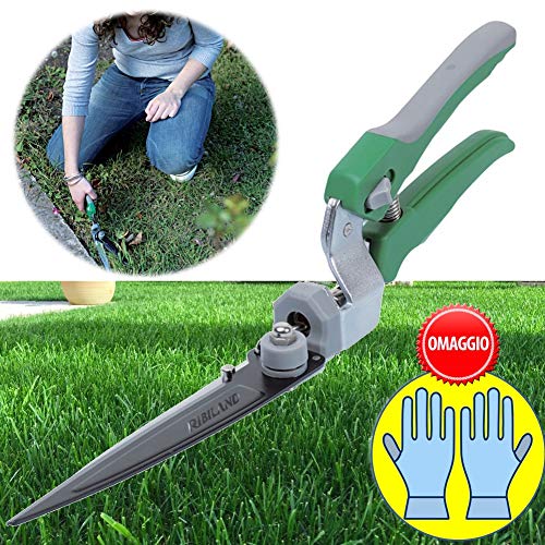 parpyon Set Giardinaggio Kit Giardinaggio Forbice Erbacce cesoie potatura Rotazione 180 per rifinitura bosrdi Guanti in Omaggio Set Attrezzi da Lavoro RICES