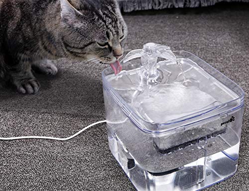 Pecute Fontana per Gatti Cani Fontana per Animali Domestici UltraSilenzioso 3L 3 Tipi di modalit di Uscita 2 filtri riutilizzabili Design Trasparente