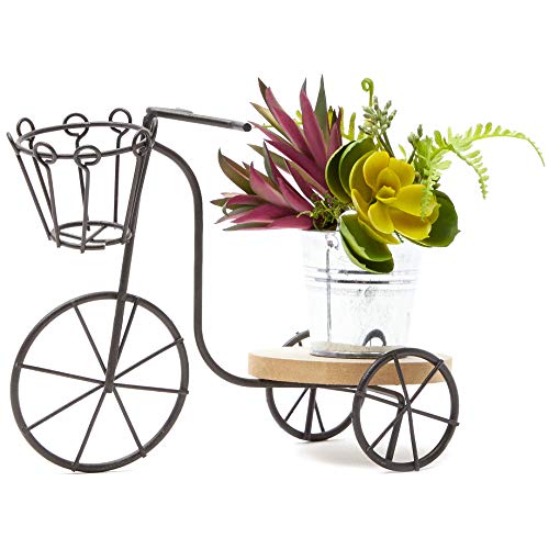 Porta vasoPortavaso per piante artificiali piante grasse struttura in ferro a forma di bicicletta supporto per piante in vaso da esterni e interniDimensioni 203x 145x 94cm