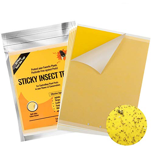 QcoQce 20 Pezzi Trappole Appiccicose per Insetti 20  15cm DIY Trappole Adesive Gialle per Mosche da Interno Esterno delle Piante per Mosca Bianca Mosca della Frutta Afidi