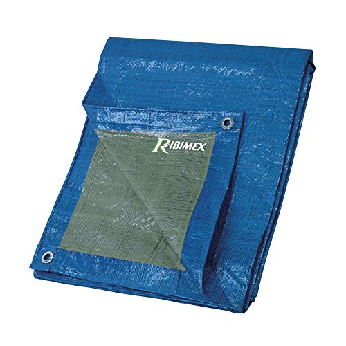 Ribiland PRB06502X03 Telo di Protezione 2x3 m 65 gr Multicolore