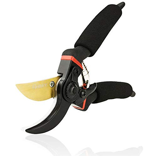 SHANGJ Cesoie Potatura Forbici Potatura Professionali Forbici Giardinaggio Forbicioni da Potatura di Alta qualit Cesoia da Potatura