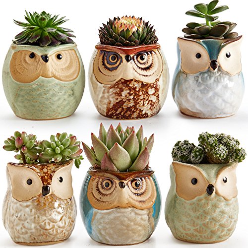 SUNE 635 cm Gufo vaso ceramica smaltata Base Set Succulente Vaso per piante Cactus Vaso per fiori Vaso per fiori Fioriera Contenitore Bonsai Vasi con un buco Perfetto Idea regalo 6 in Set