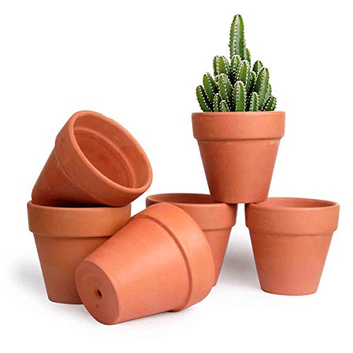 T4U 107cm Pianta Grassa Vasi in Terracotta Set di 6 per Piante in Miniatura
