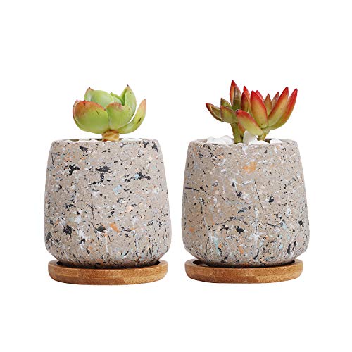 T4U Cemento Vasi Piante Grasse Calcestruzzo Piantatore Vaso Contenitore Scatola di Finestra Piccolo Vaso per Piante Fiore con Drenaggio Vassoio di bamb per Casa DecorazioneSet di 2Grigio