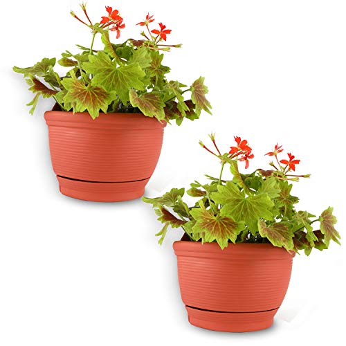 T4U Fioriera da Parete Plastica 15CM Terracotta Set di 2 Piccola Cestino per Piante a Parete Autoirrigante per Casa Giardino Veranda Balcone Decorazione Murale Regalo di Matrimonio