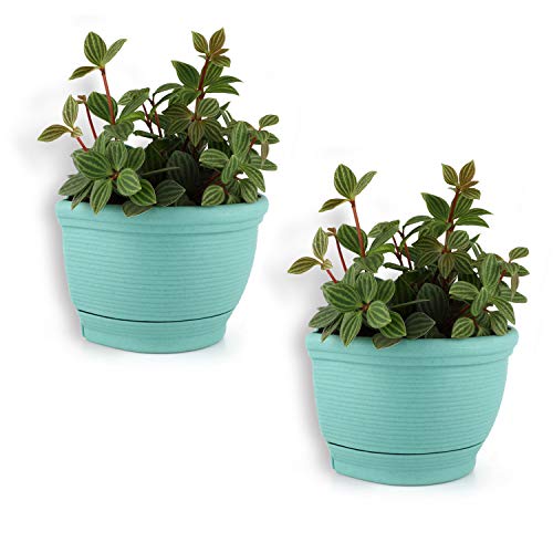 T4U Fioriera da Parete Plastica 15CM Verde Set di 2 Piccola Cestino per Piante a Parete Autoirrigante per Casa Giardino Veranda Balcone Decorazione Murale Regalo di Matrimonio