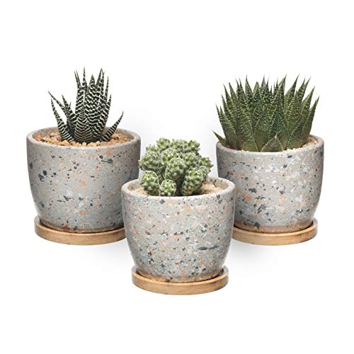 T4U Vaso di Cactus Succulente in Cemento Contenitore per Finestra in Vaso di Fioriera in Cemento con Vassoio in bamb per Drenaggio per la Decorazione Domestica Set di 3Grigio