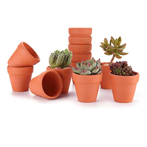 T4U Vaso Terracotta in Argilla Rosso 5CM Argilla Set di 12 Vaso per Piante in Miniatura Fioriera per Piante Sospese Cactus Erbe per Matrimonio Compleanno Casa e Ufficio Decorativo