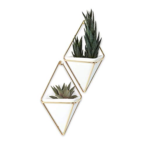 Umbra 470753524 Trigg 2 Vasi Piccoli Decorativi Bianco Rame