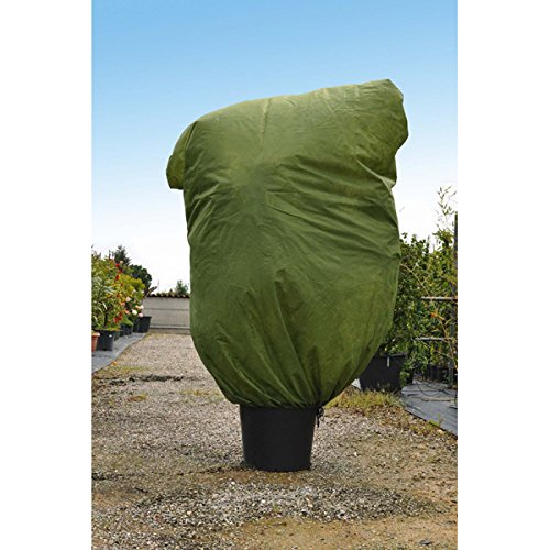Verdemax 636589 Cappuccio Protezione Piante in TNT Verde 45Gmq Green