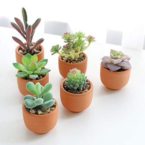 Veryhome Artificiale Succulente Falso Impianto Pianta in Vaso Mini Piazza Bianco Vaso di Fiori Famiglia Giardino Decorazione Verde Vaso di Fiori in Terracotta  6 Pezzi