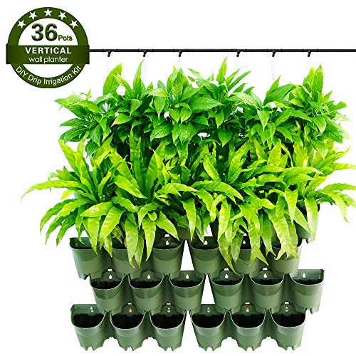 Worth Garden Self Watering Vertical 36 fioriere Tasche in Confezione da 12 Pezzi con Sistema di gocciolamento