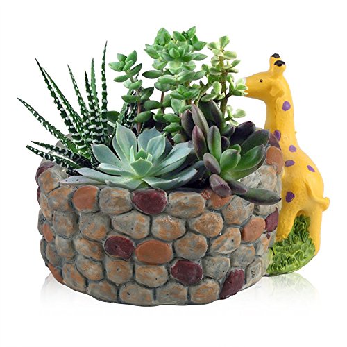 Zerodis Resina Succulente Pot a Forma di Animale Piante Succulente ArtificialiVive Contengono Fioriere Herb Fioriera Decorazione della Casa GiardinoGiraffa